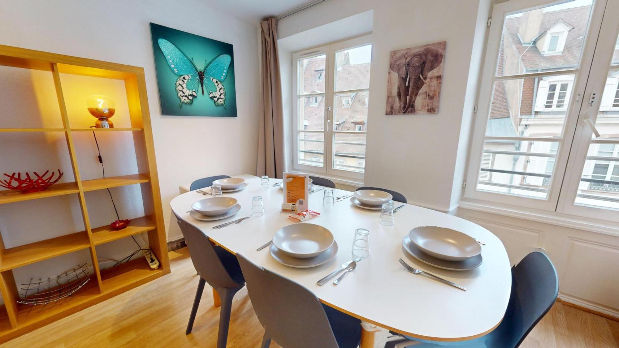 70 M² Strasbourg Appart City Center Luaran gambar