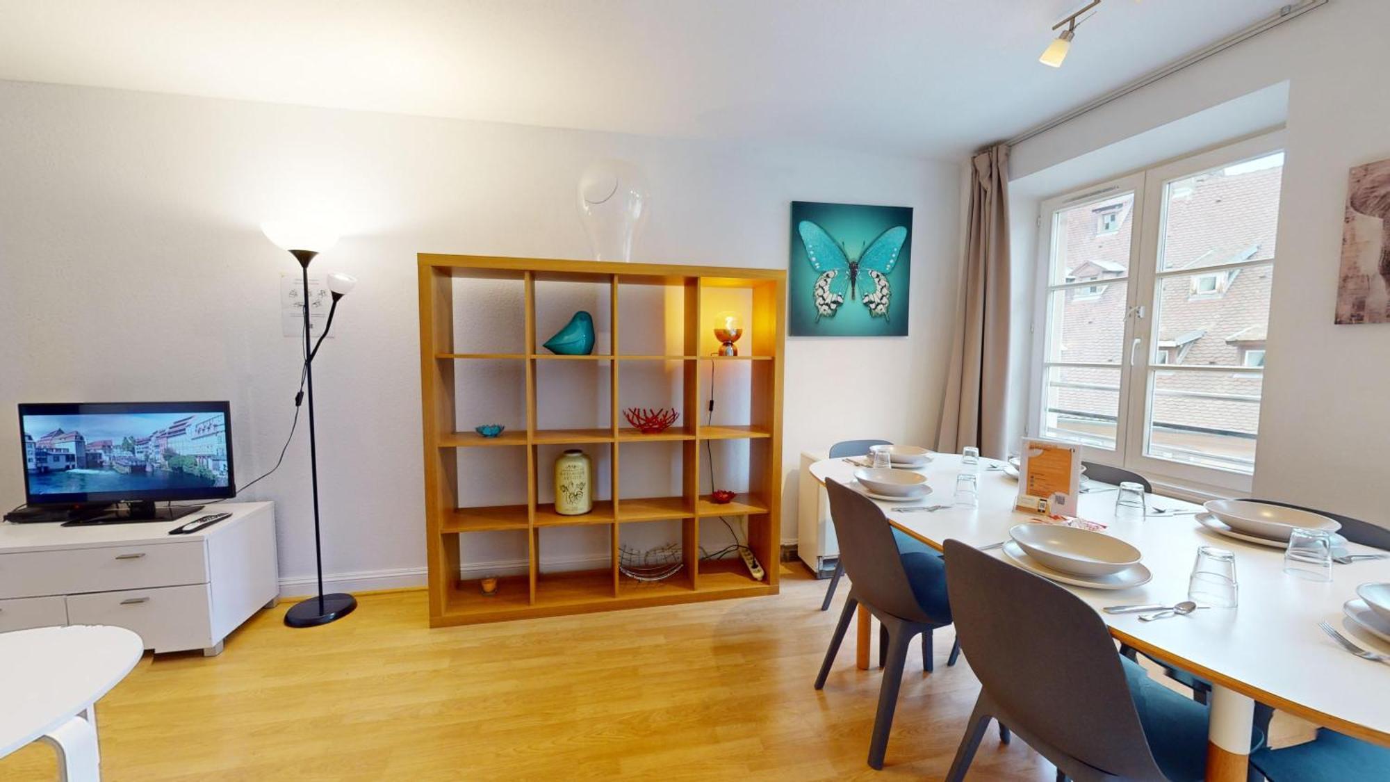 70 M² Strasbourg Appart City Center Luaran gambar