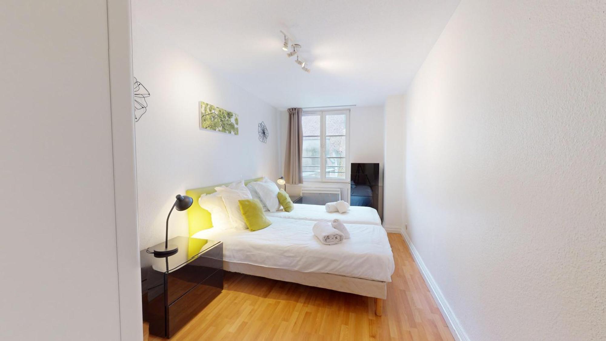 70 M² Strasbourg Appart City Center Luaran gambar